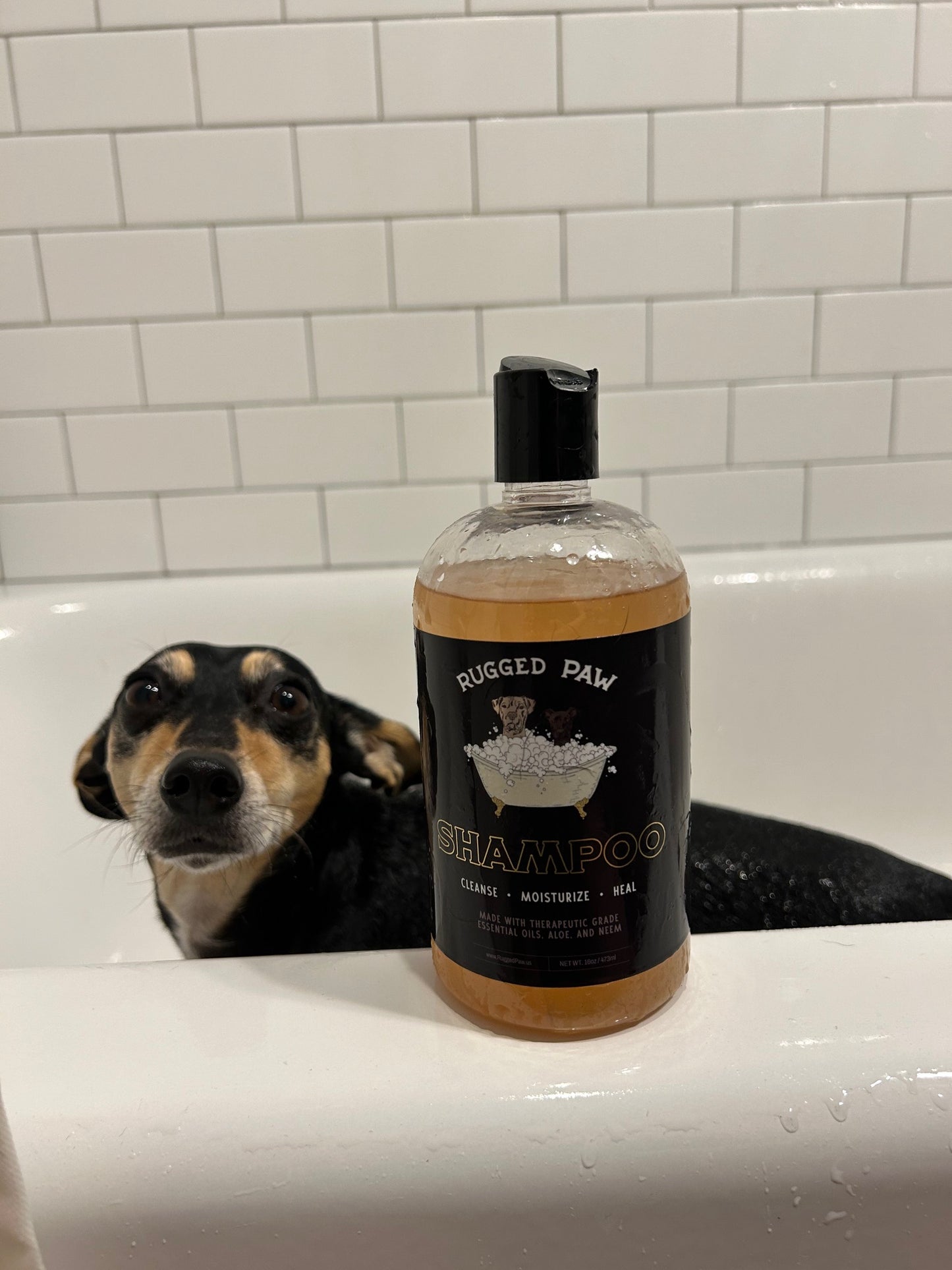 Natural Dog Shampoo for Healthy Skin and Coat | Rugged Paw