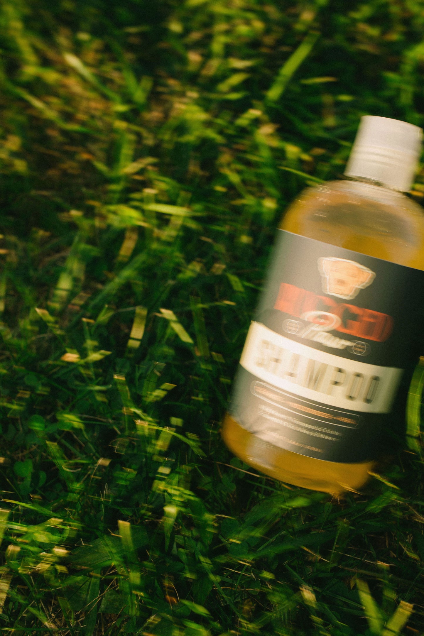 Natural Dog Shampoo for Healthy Skin and Coat | Rugged Paw