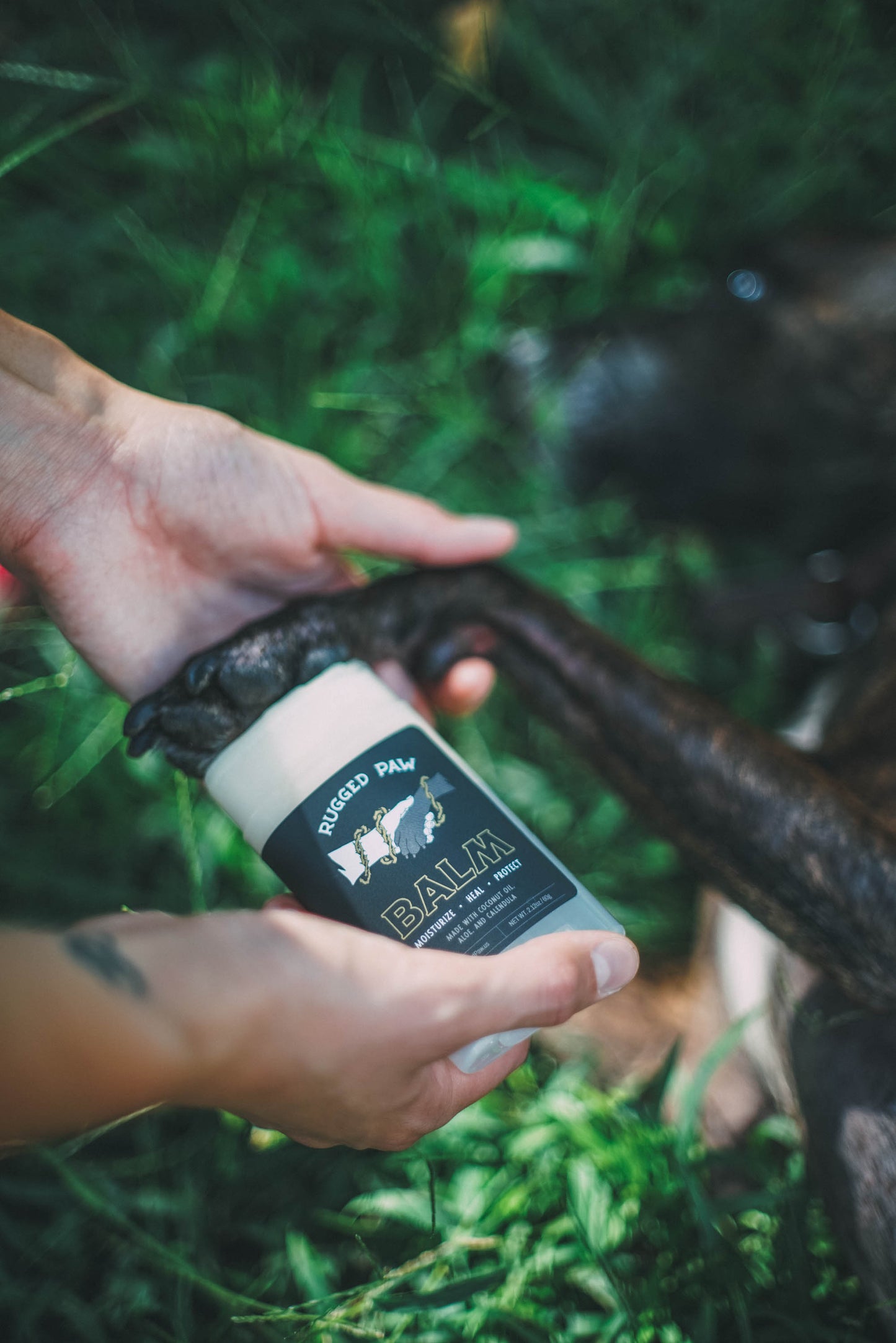 Healing & Protective Dog Paw Balm | Rugged Paw