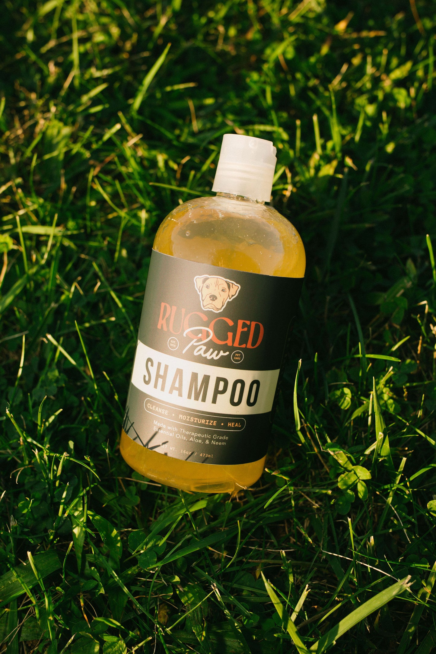 Natural Dog Shampoo for Healthy Skin and Coat | Rugged Paw