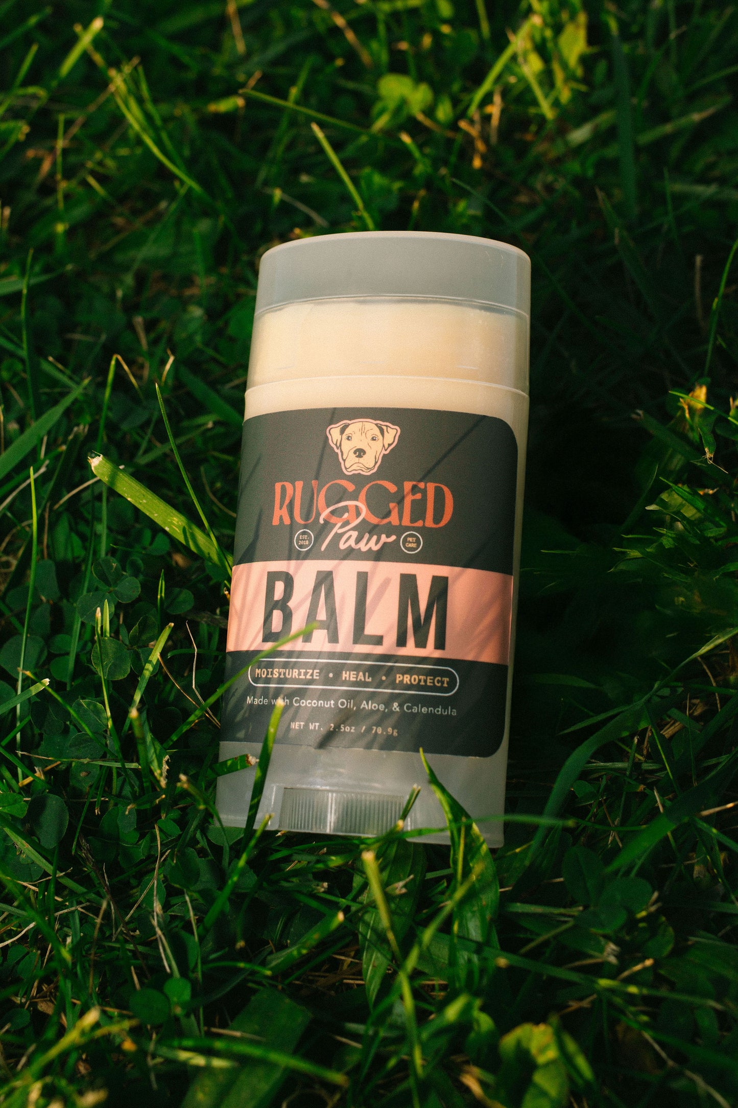 Healing & Protective Dog Paw Balm | Rugged Paw