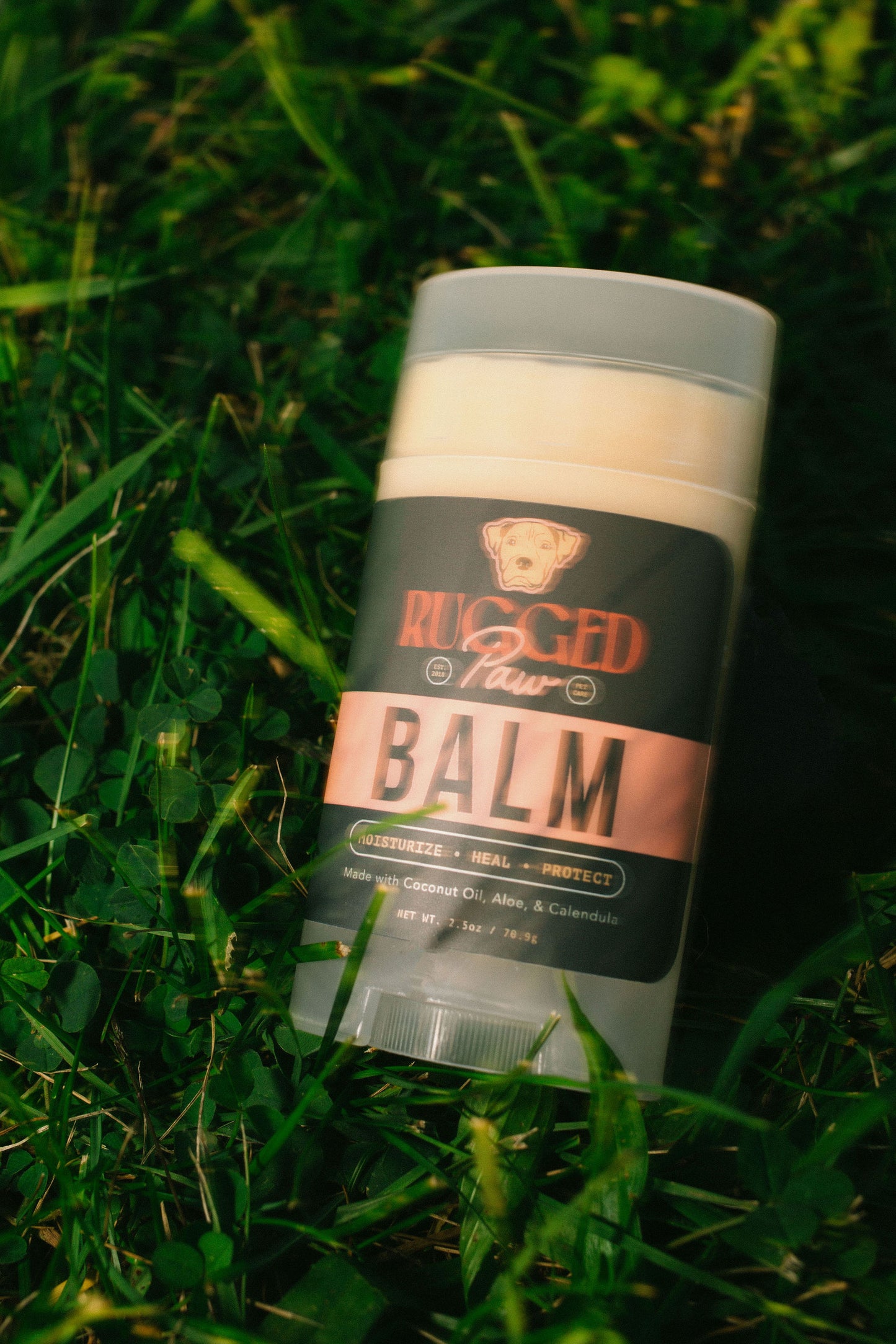 Healing & Protective Dog Paw Balm | Rugged Paw
