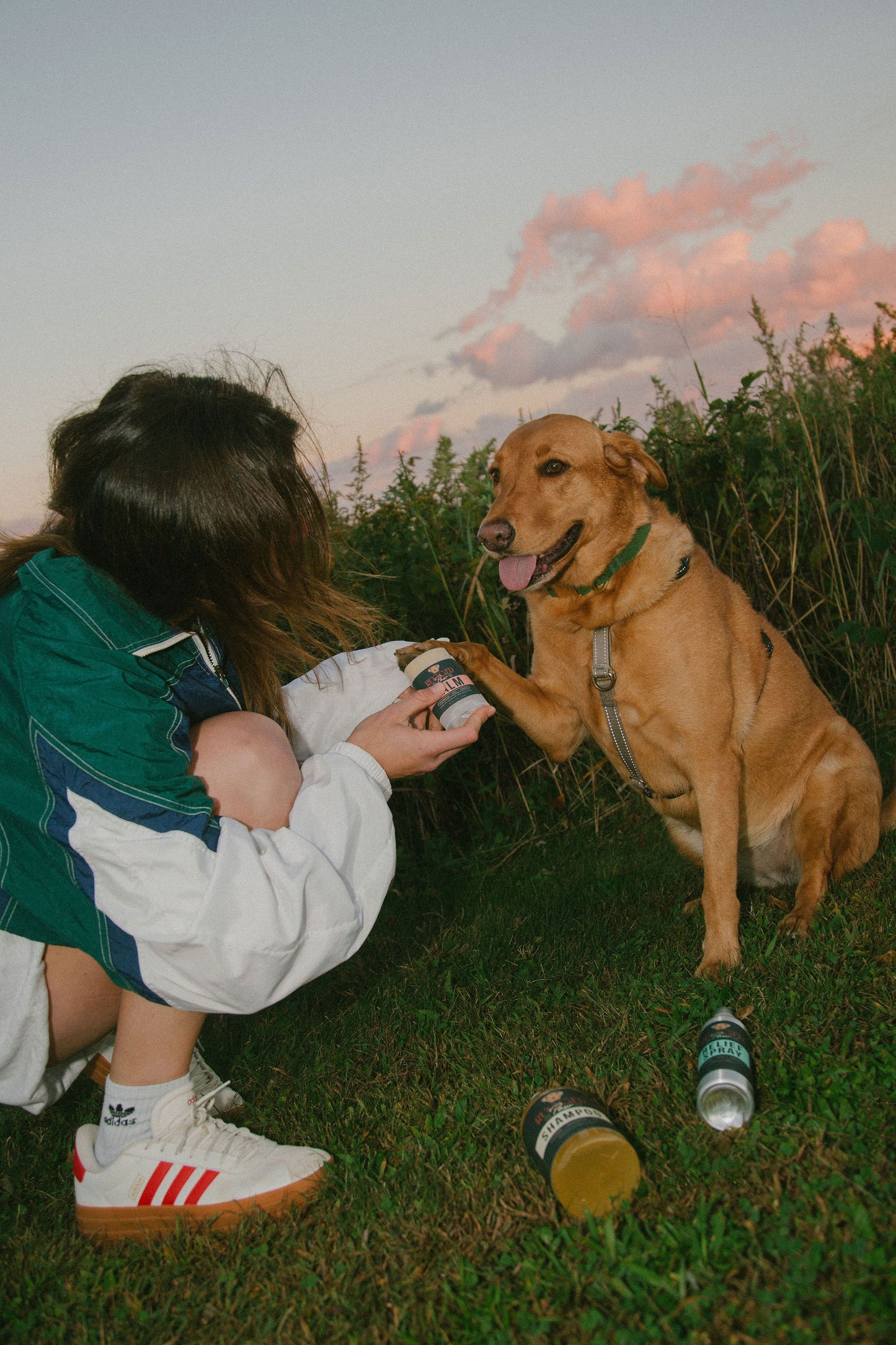 Healing & Protective Dog Paw Balm | Rugged Paw