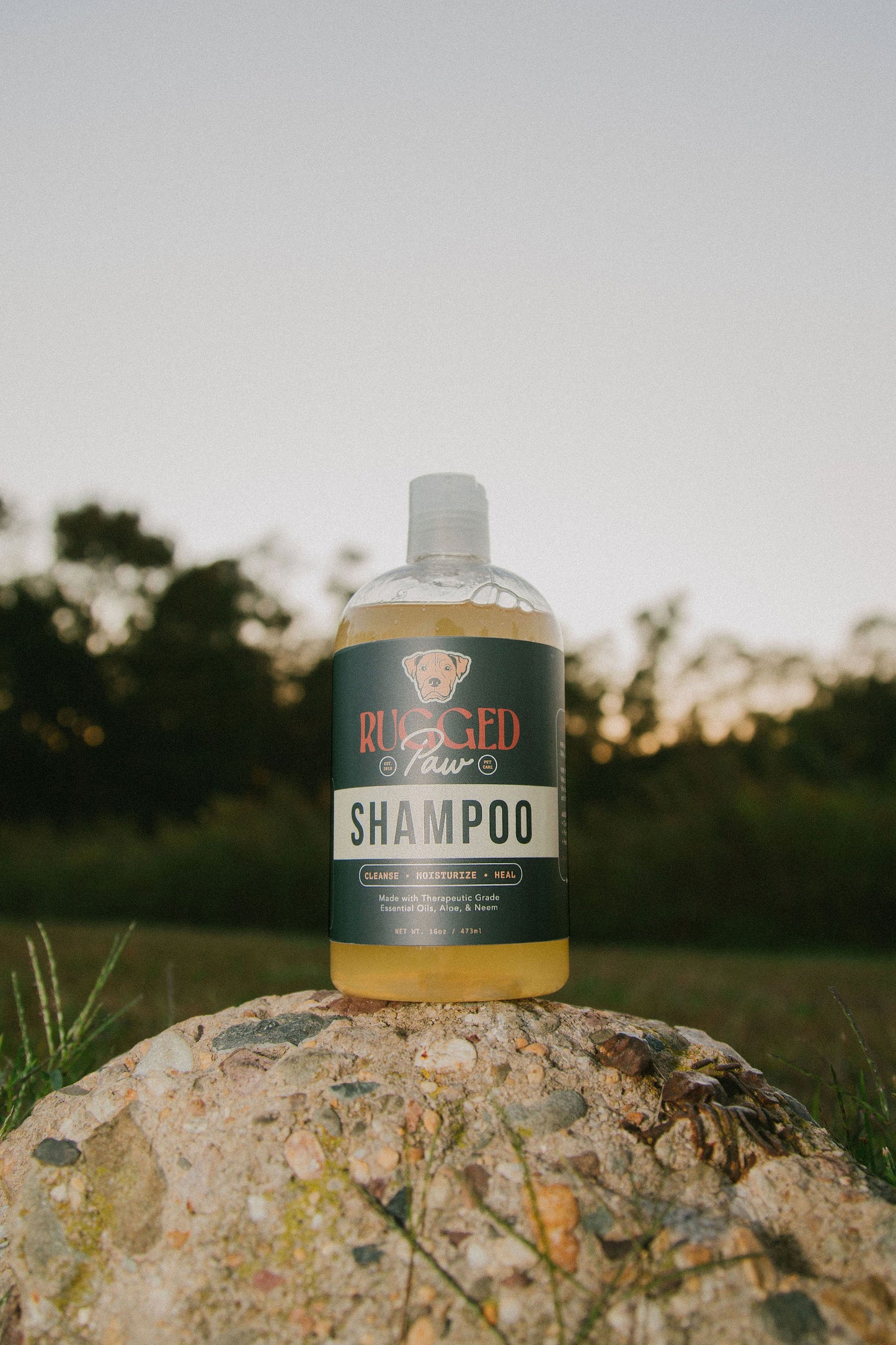 Natural Dog Shampoo for Healthy Skin and Coat | Rugged Paw